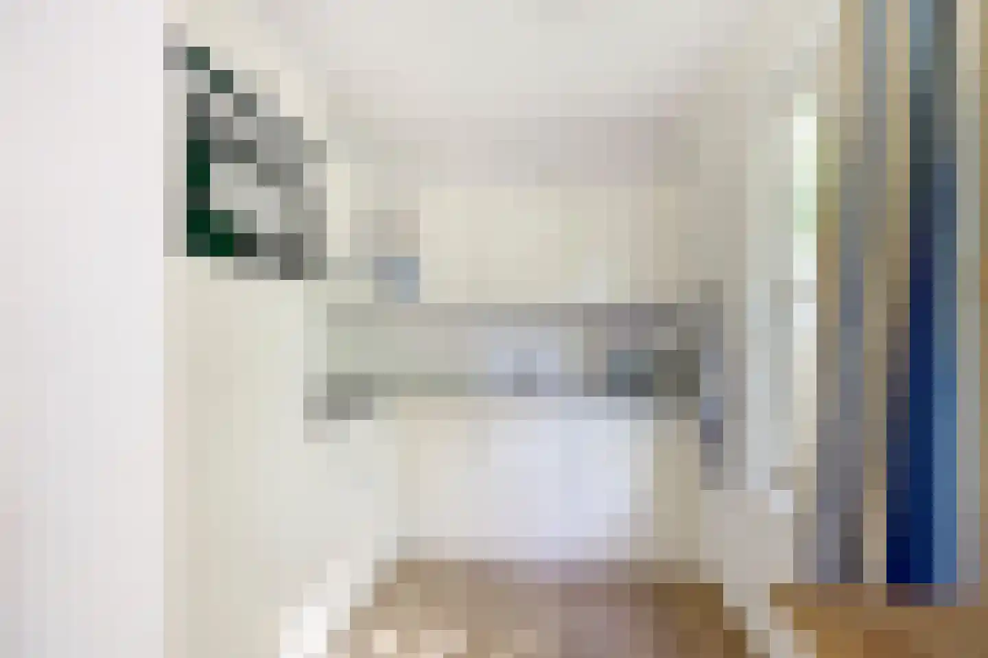 Daleboutsweg 3 0003 Burgh-Haamstede thumbnail 7