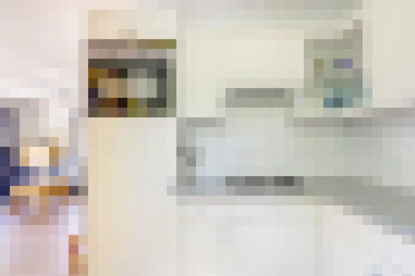 Daleboutsweg 3 0003 Burgh-Haamstede thumbnail 8