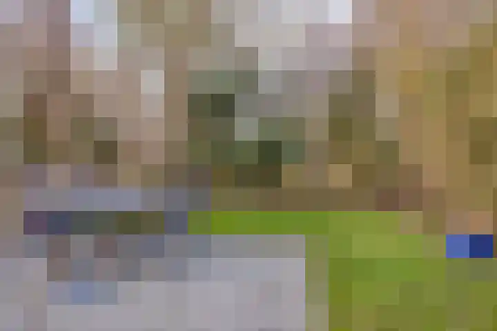 Daleboutsweg 3 0011 Burgh-Haamstede thumbnail 20