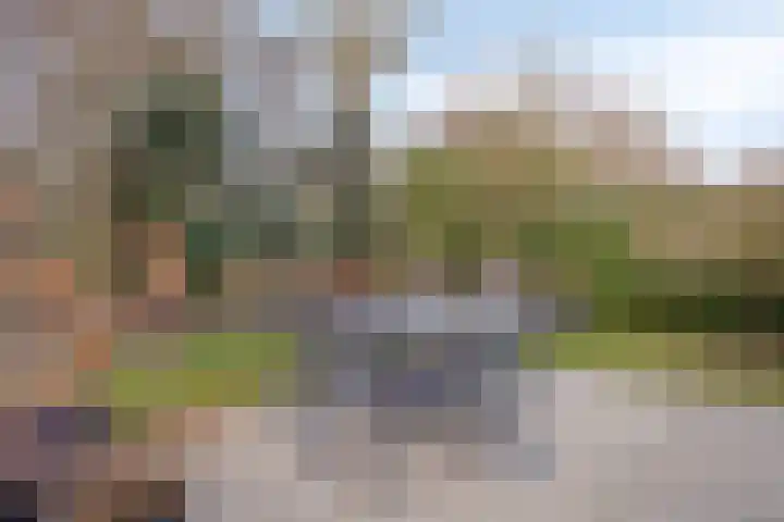 Daleboutsweg 3 0011 Burgh-Haamstede thumbnail 21