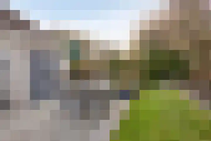 Daleboutsweg 3 0011 Burgh-Haamstede thumbnail 22