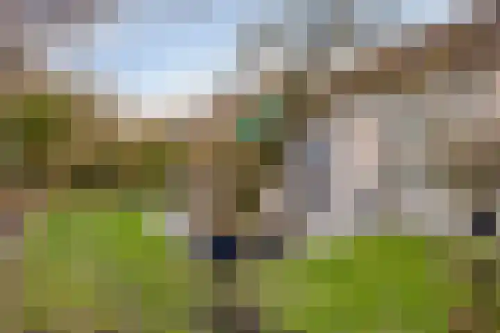 Daleboutsweg 3 0011 Burgh-Haamstede thumbnail 23