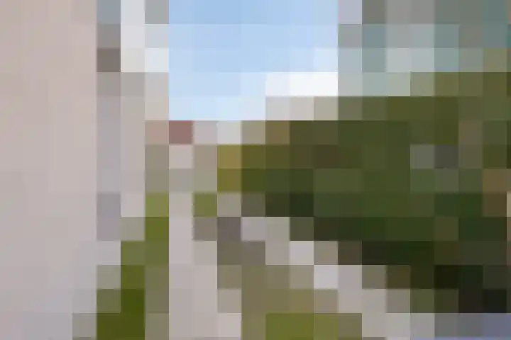 Daleboutsweg 3 0011 Burgh-Haamstede thumbnail 25