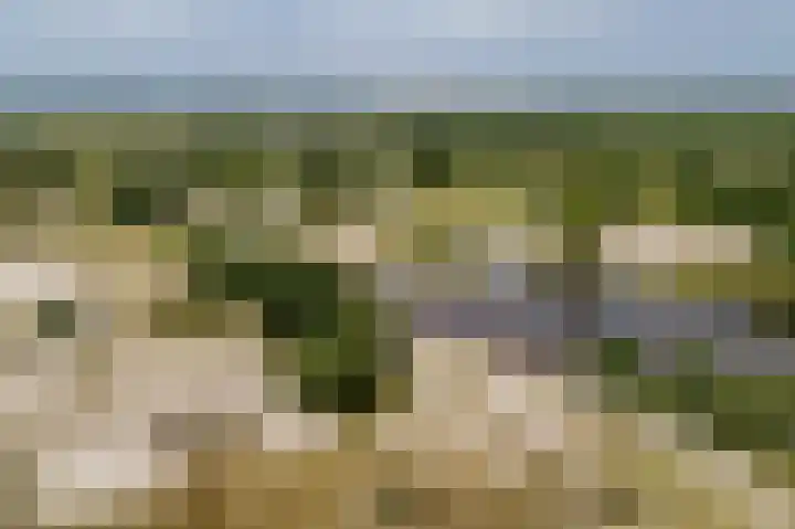 Daleboutsweg 3 0011 Burgh-Haamstede thumbnail 28