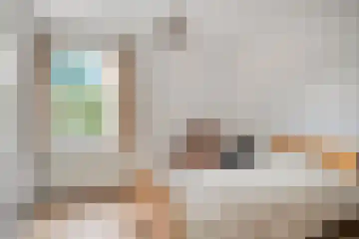 Daleboutsweg 3 0011 Burgh-Haamstede thumbnail 8