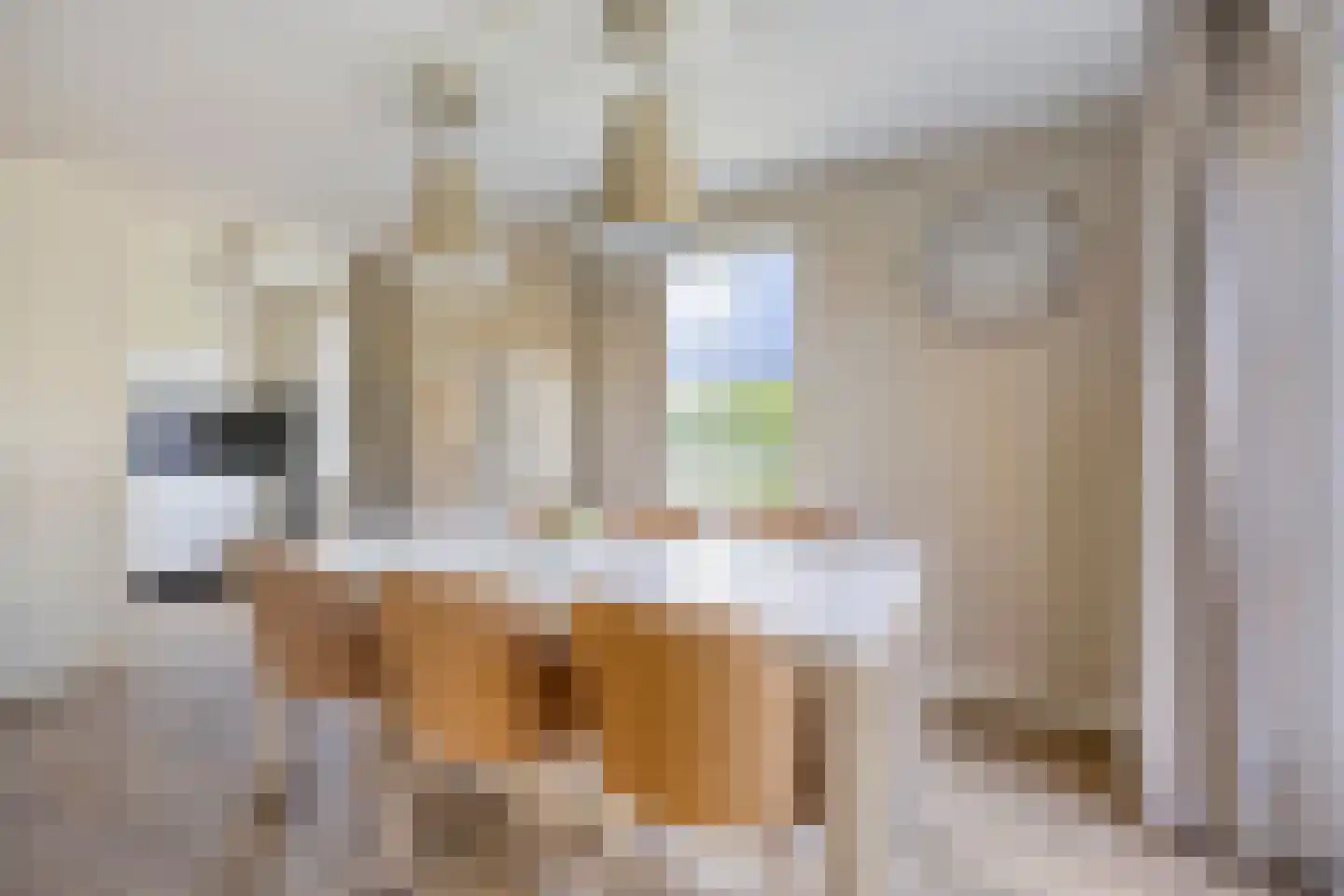 Daleboutsweg 3 0043 Burgh-Haamstede thumbnail 10