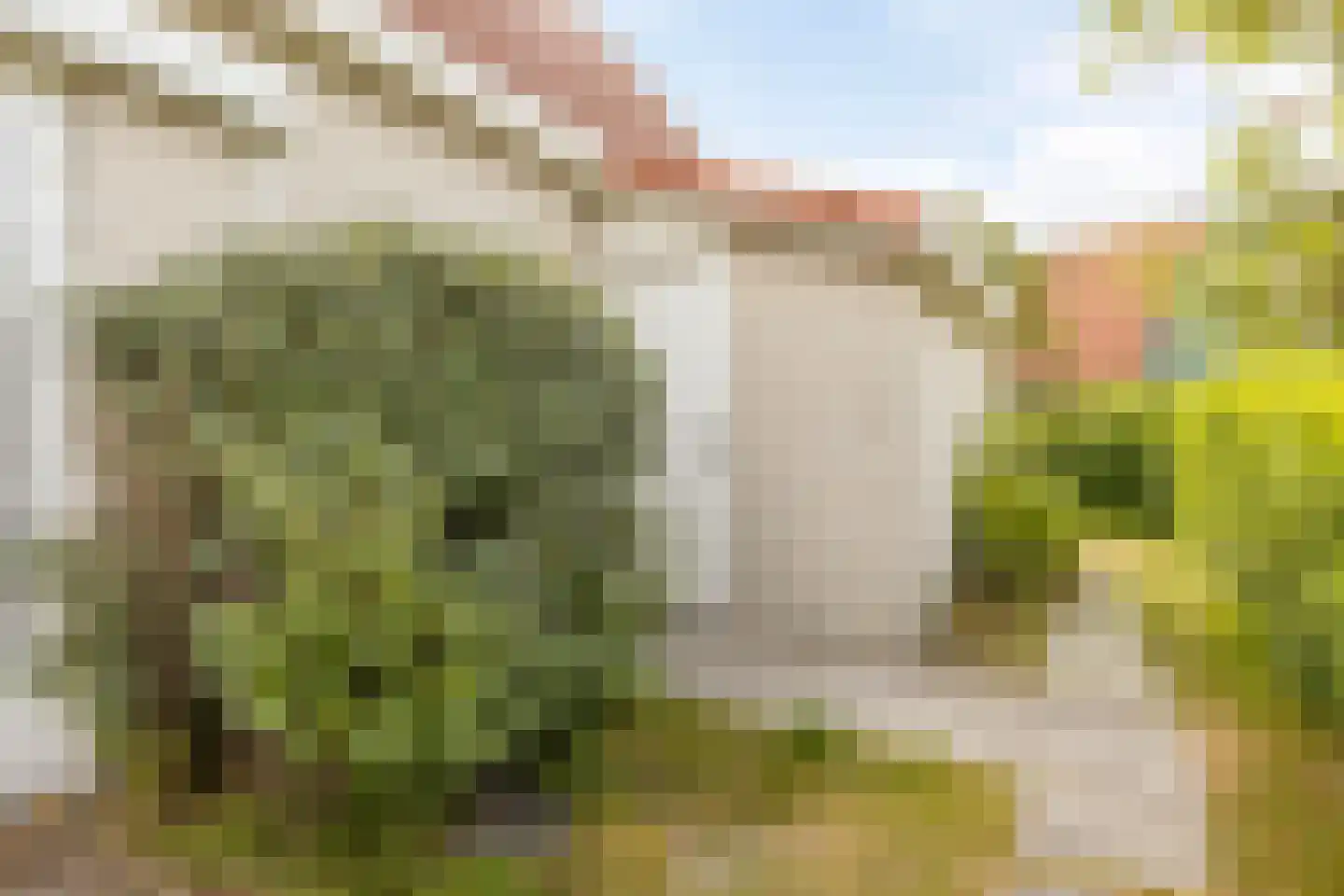 Daleboutsweg 3 0075 Burgh-Haamstede thumbnail 31