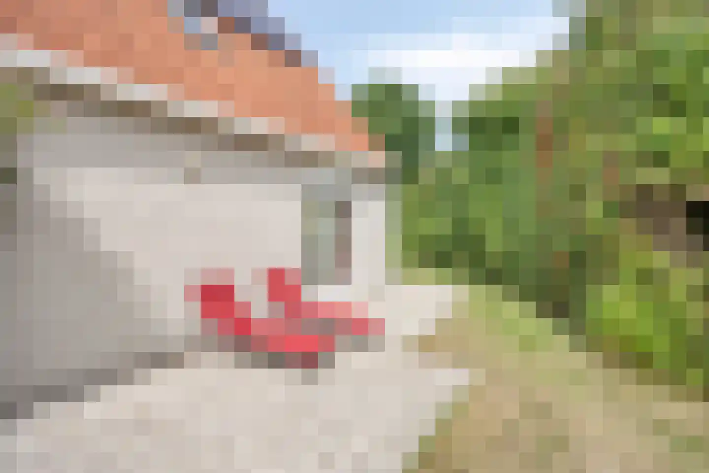 Daleboutsweg 3 0081 Burgh-Haamstede thumbnail 17