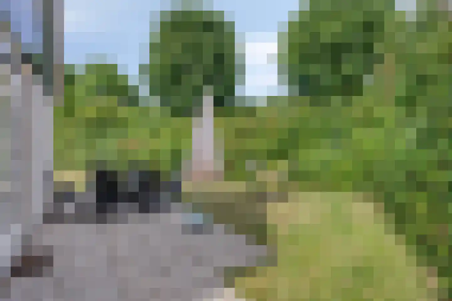 Daleboutsweg 3 0081 Burgh-Haamstede thumbnail 20