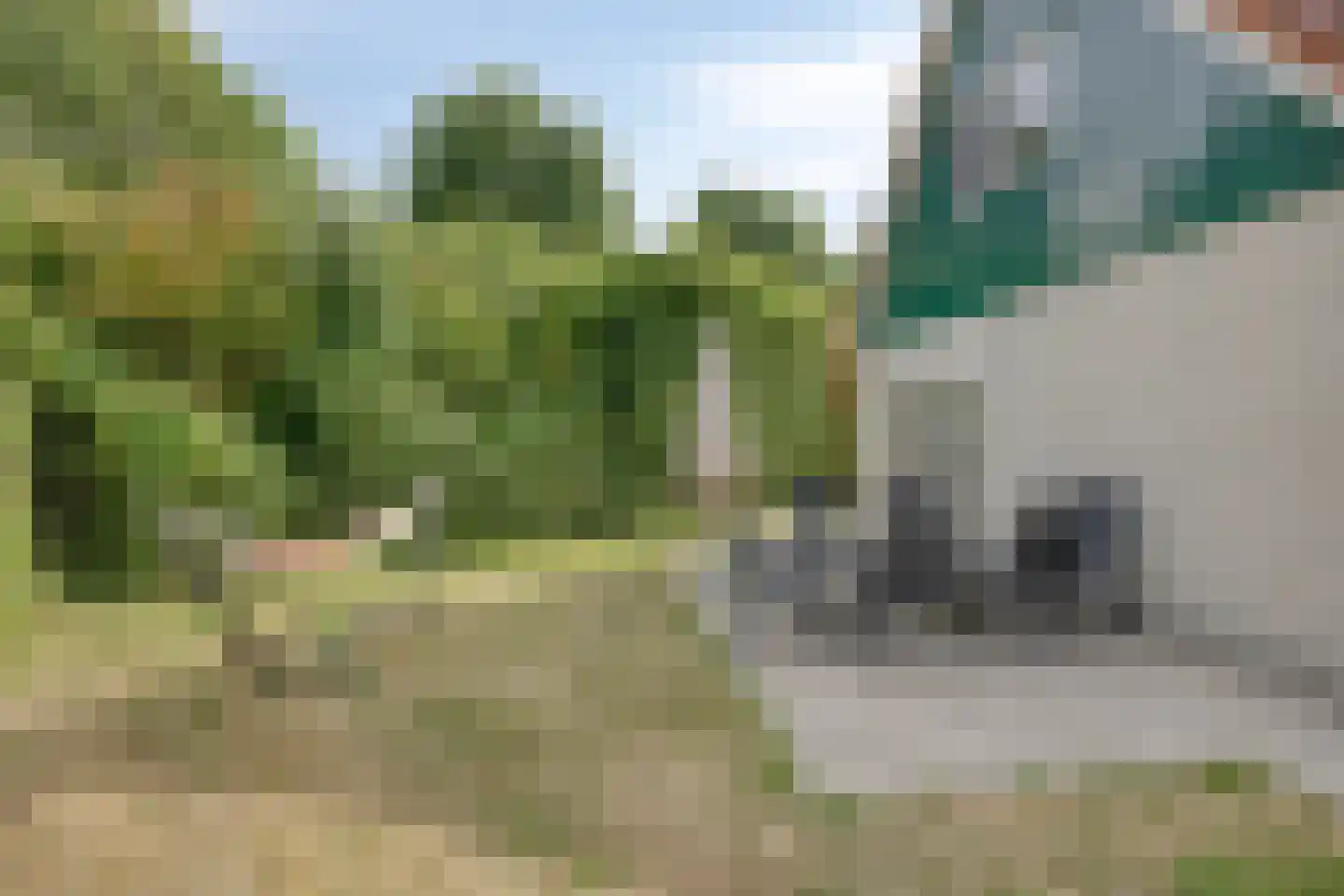 Daleboutsweg 3 0081 Burgh-Haamstede thumbnail 21