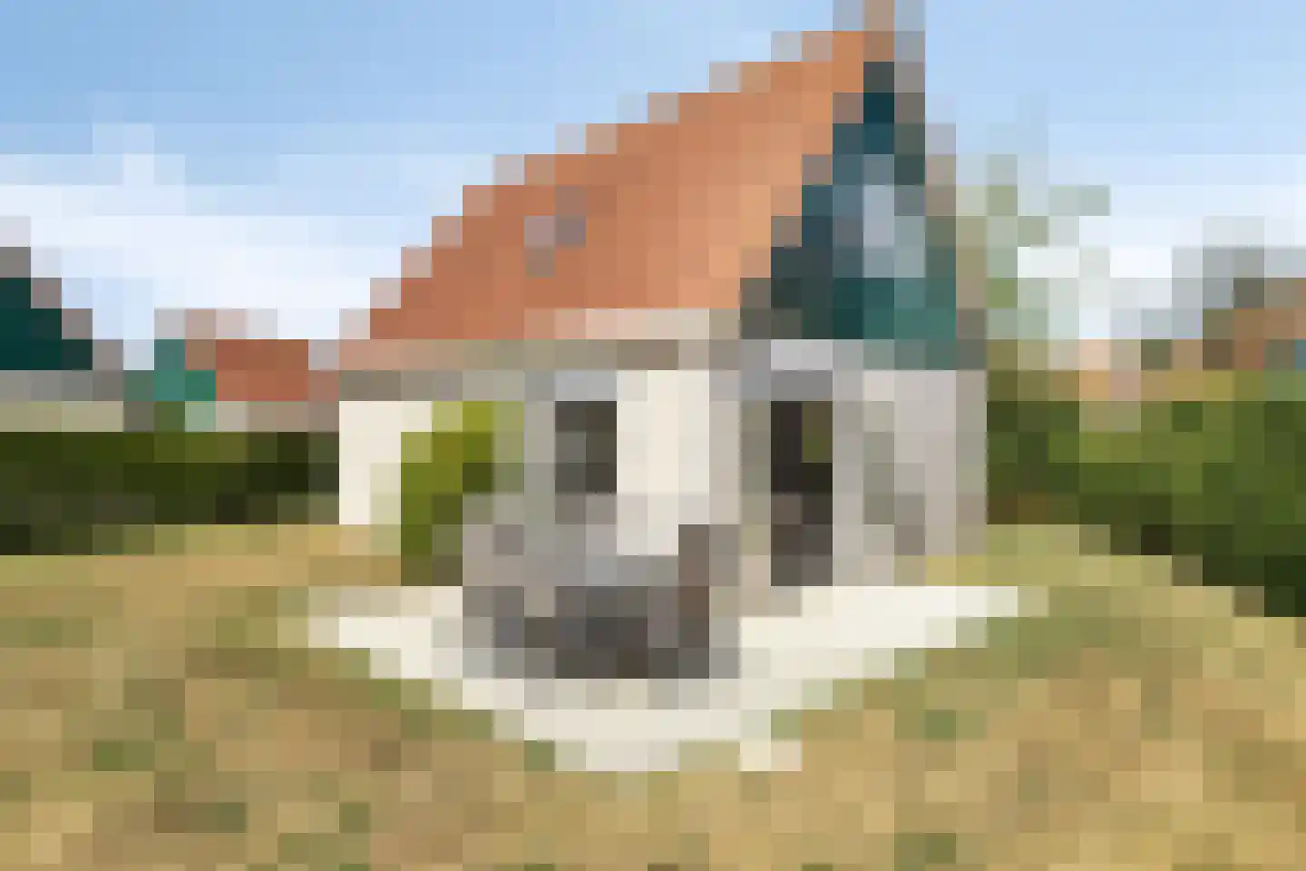 Daleboutsweg 3 0084 Burgh-Haamstede thumbnail 23