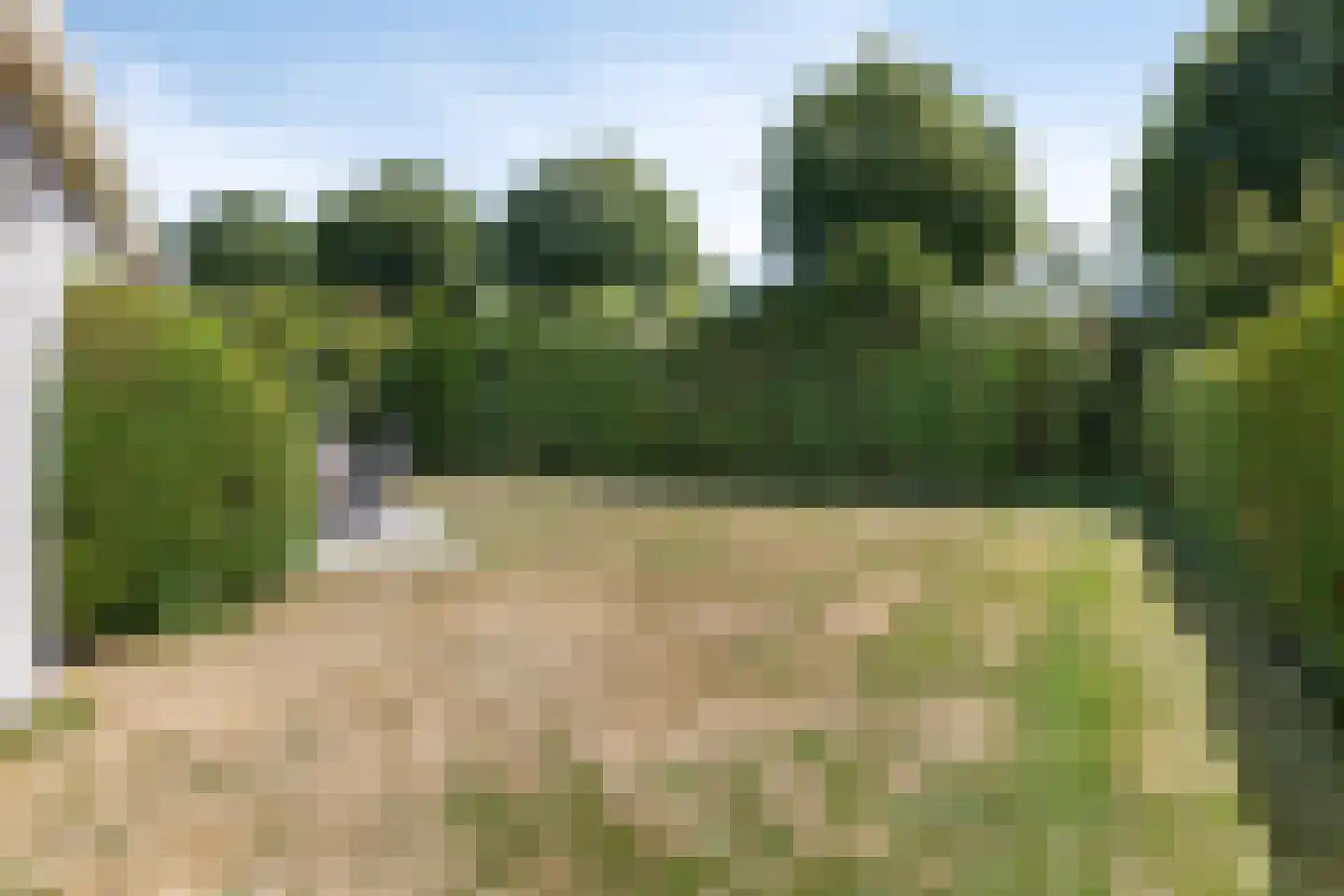 Daleboutsweg 3 0084 Burgh-Haamstede thumbnail 27