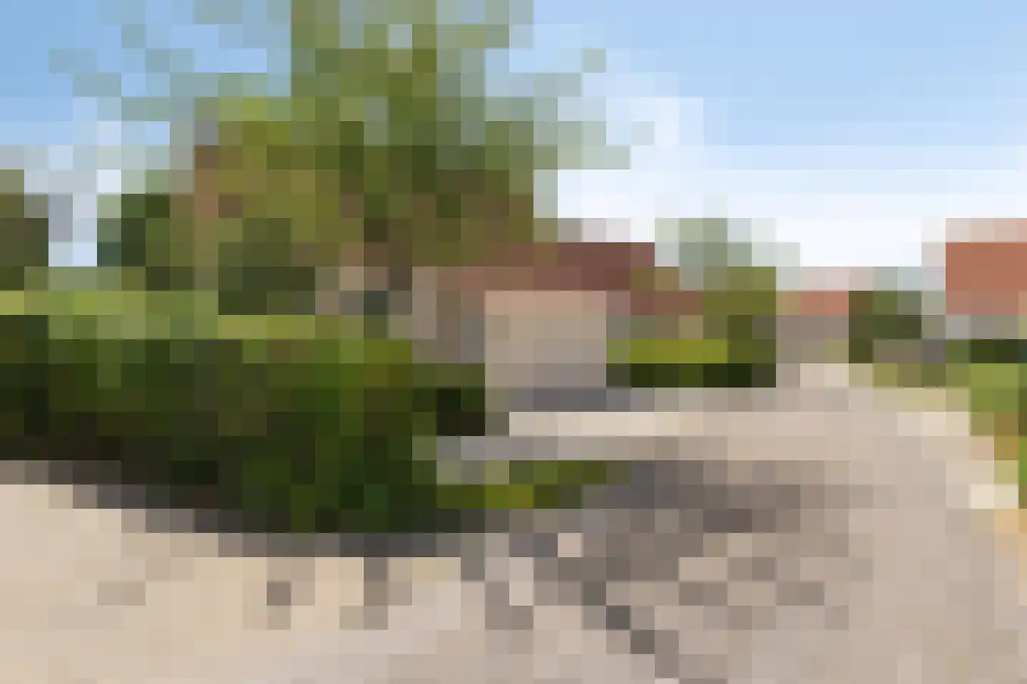 Daleboutsweg 3 0084 Burgh-Haamstede thumbnail 32
