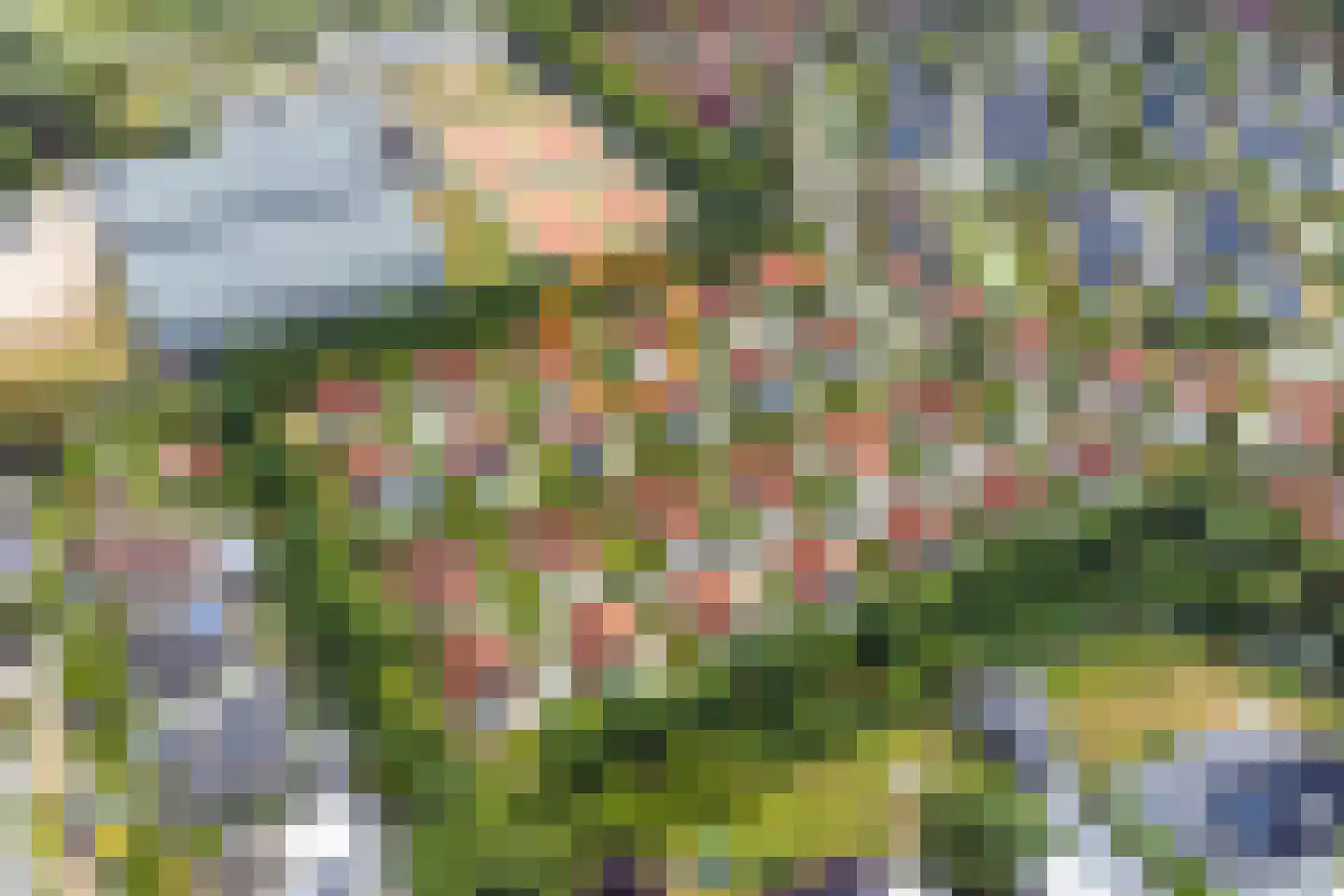 Daleboutsweg 3 0084 Burgh-Haamstede thumbnail 33
