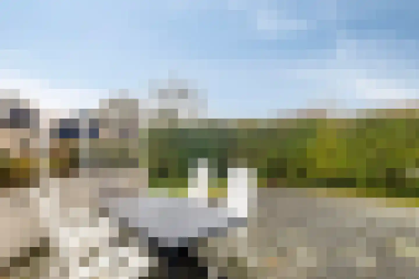 Daleboutsweg 3 0105 Burgh-Haamstede thumbnail 24