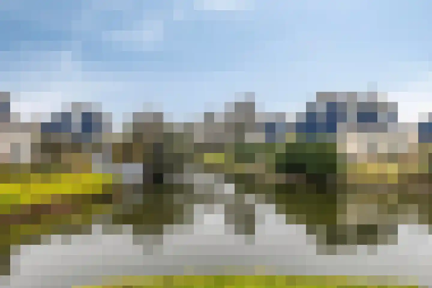 Daleboutsweg 3 0105 Burgh-Haamstede thumbnail 26