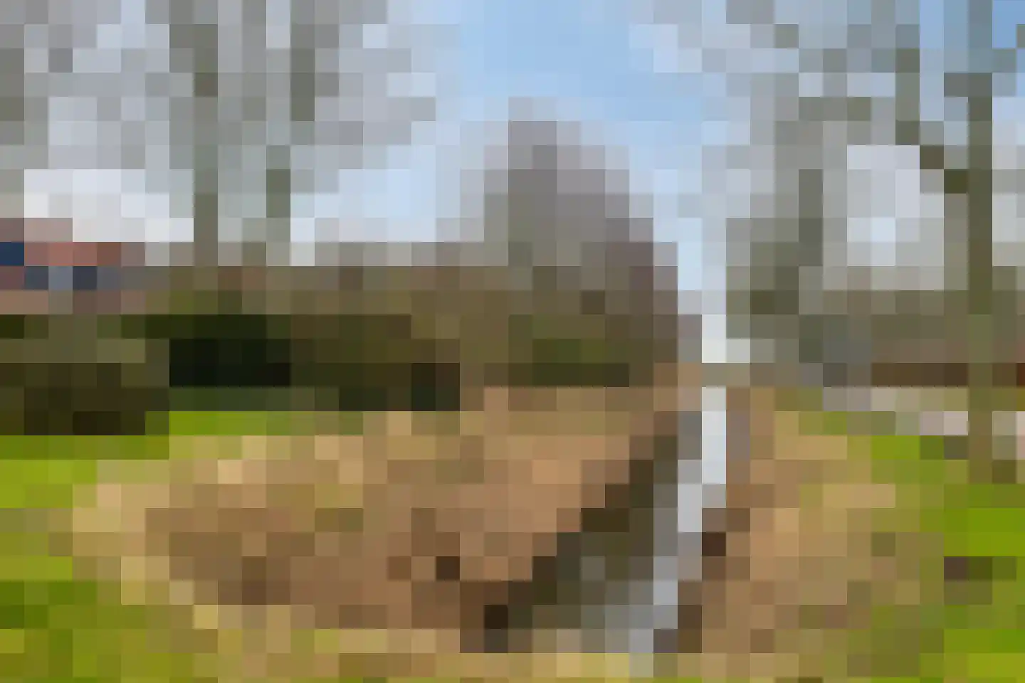 Daleboutsweg 3 0105 Burgh-Haamstede thumbnail 31