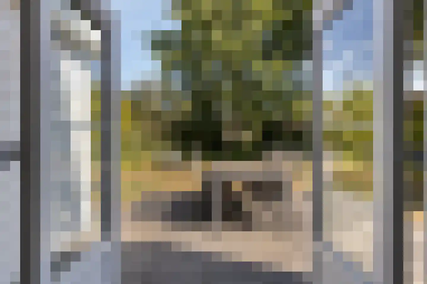 Daleboutsweg 4 0010 Burgh-Haamstede thumbnail 19