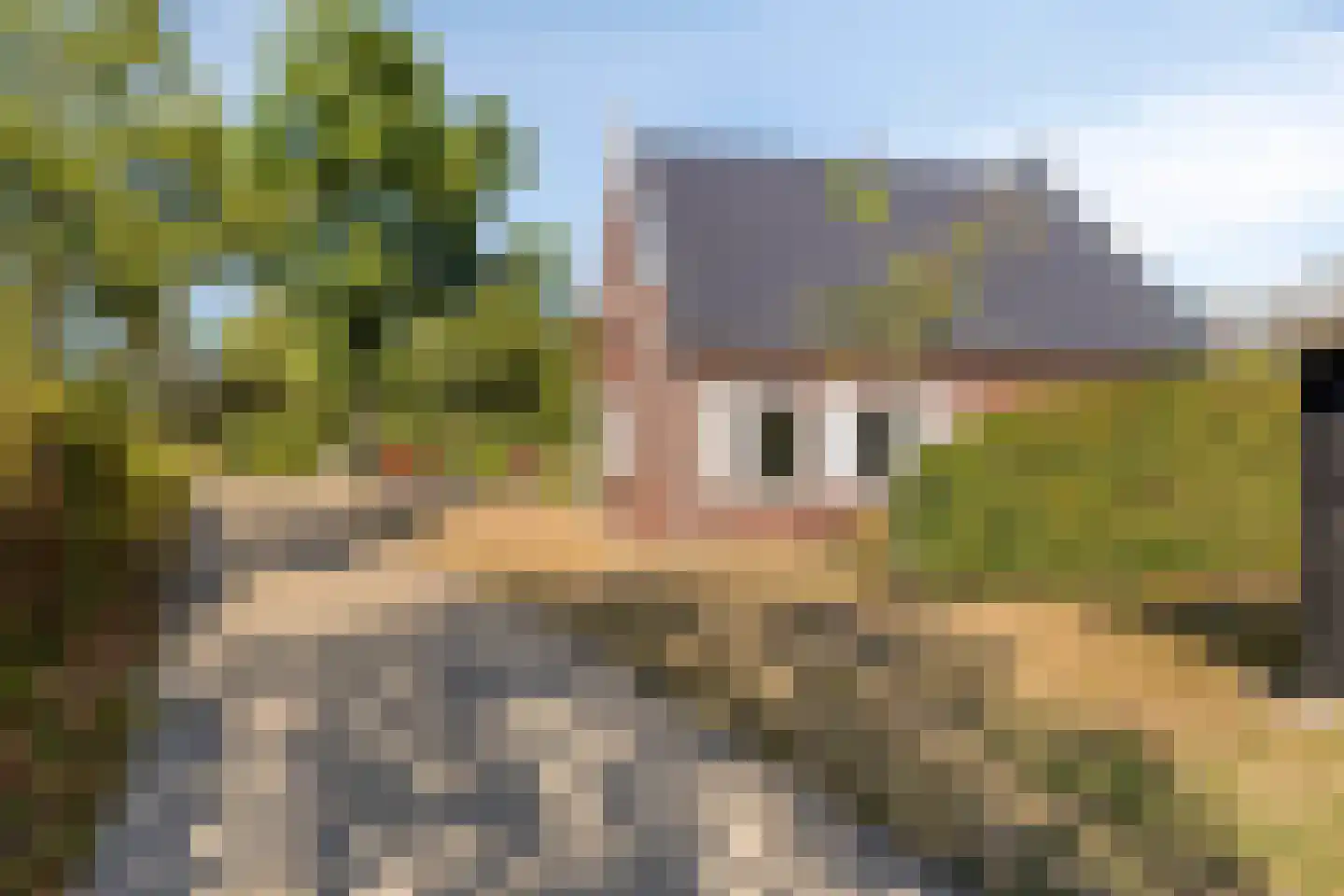 Daleboutsweg 4 0010 Burgh-Haamstede foto 2