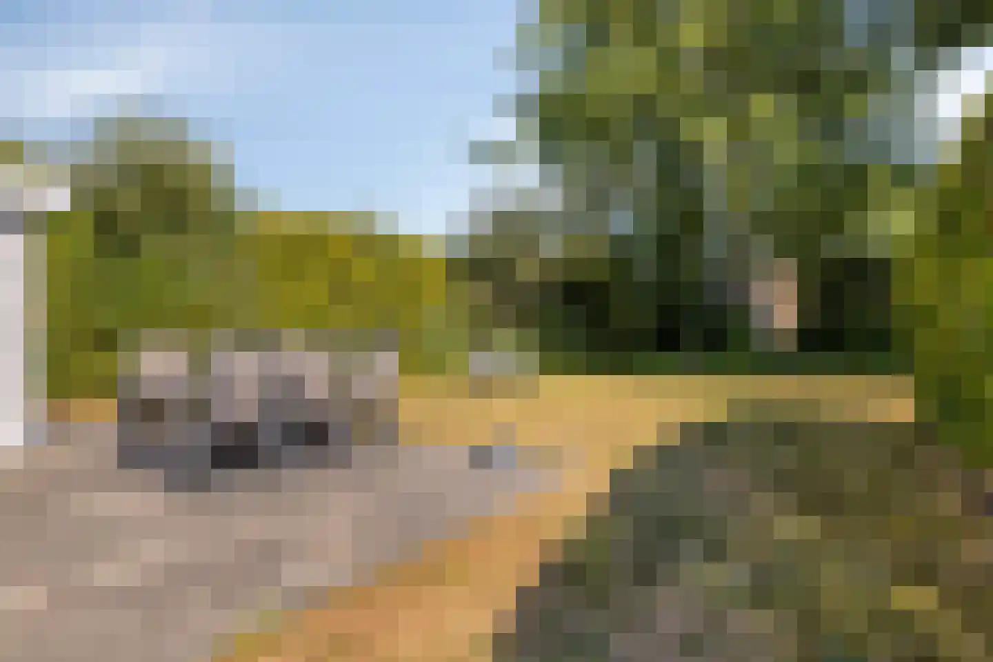 Daleboutsweg 4 0010 Burgh-Haamstede thumbnail 40