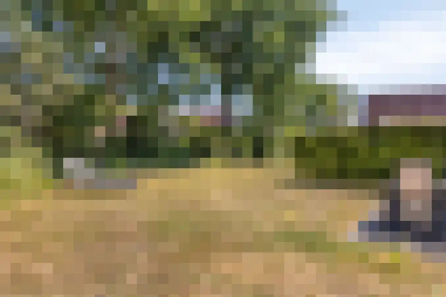 Daleboutsweg 4 0010 Burgh-Haamstede thumbnail 42
