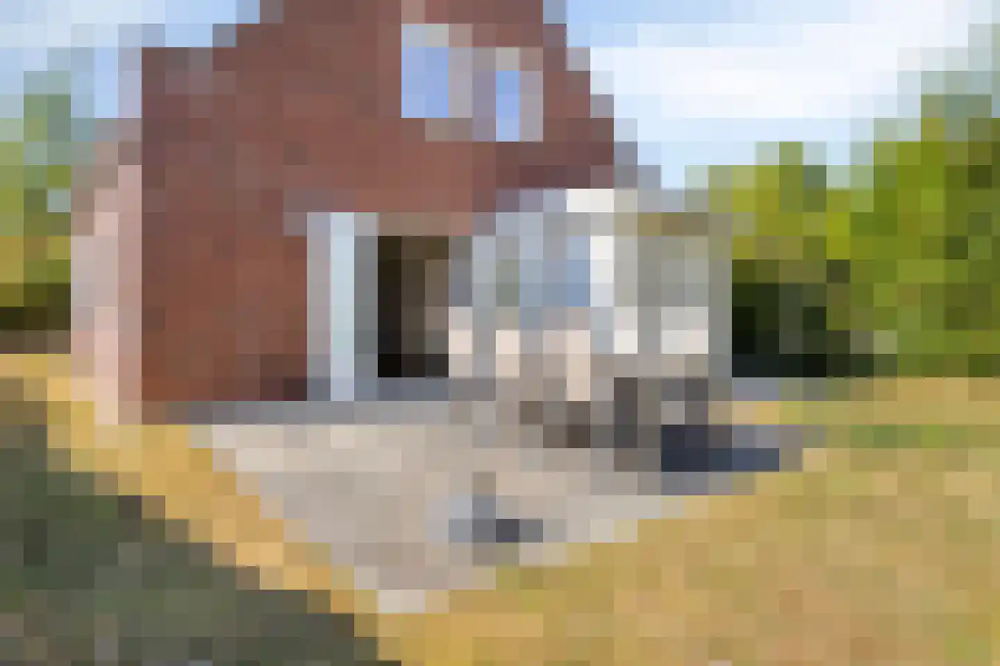 Daleboutsweg 4 0010 Burgh-Haamstede thumbnail 47