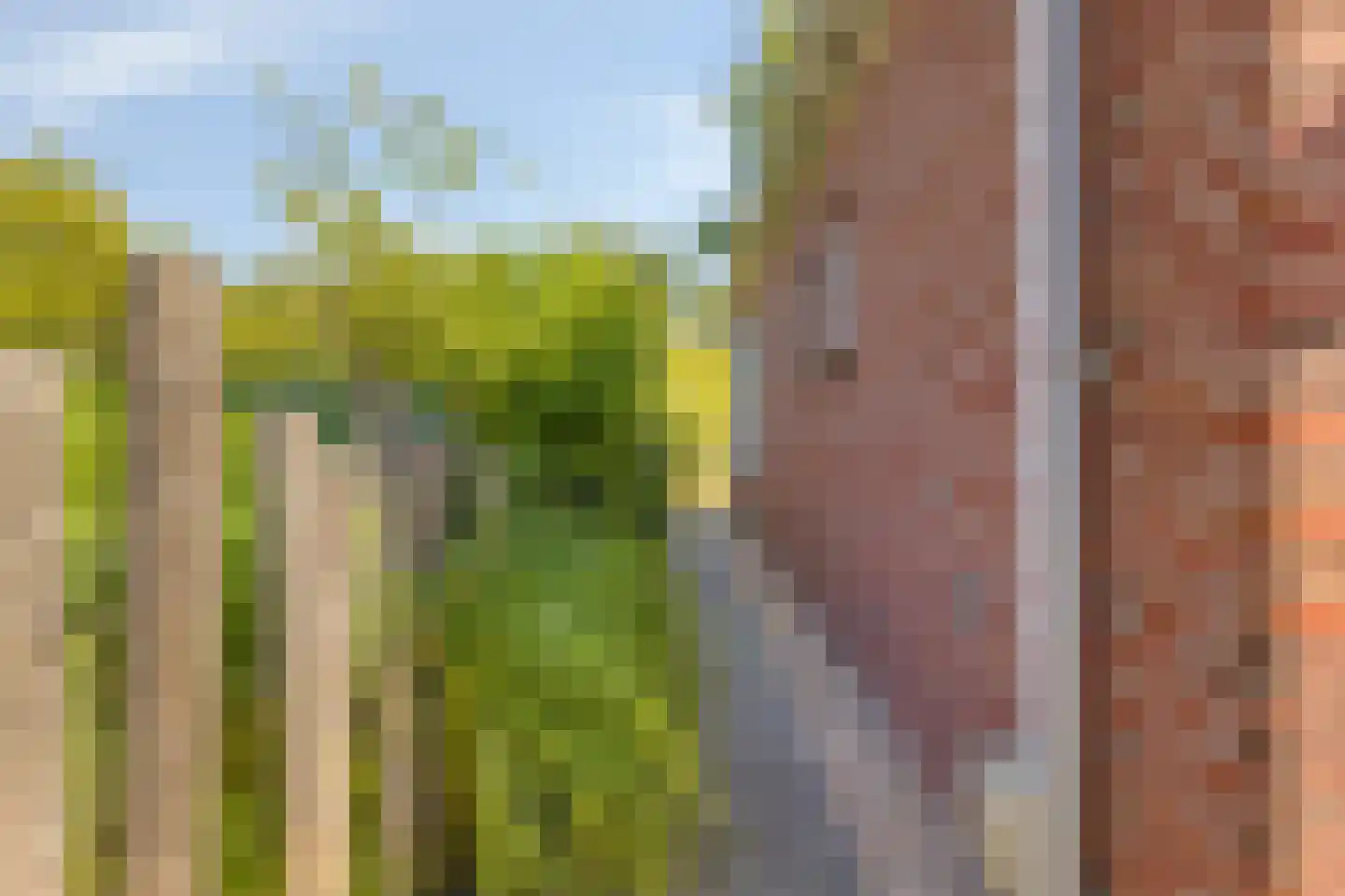 Daleboutsweg 4 0010 Burgh-Haamstede thumbnail 49