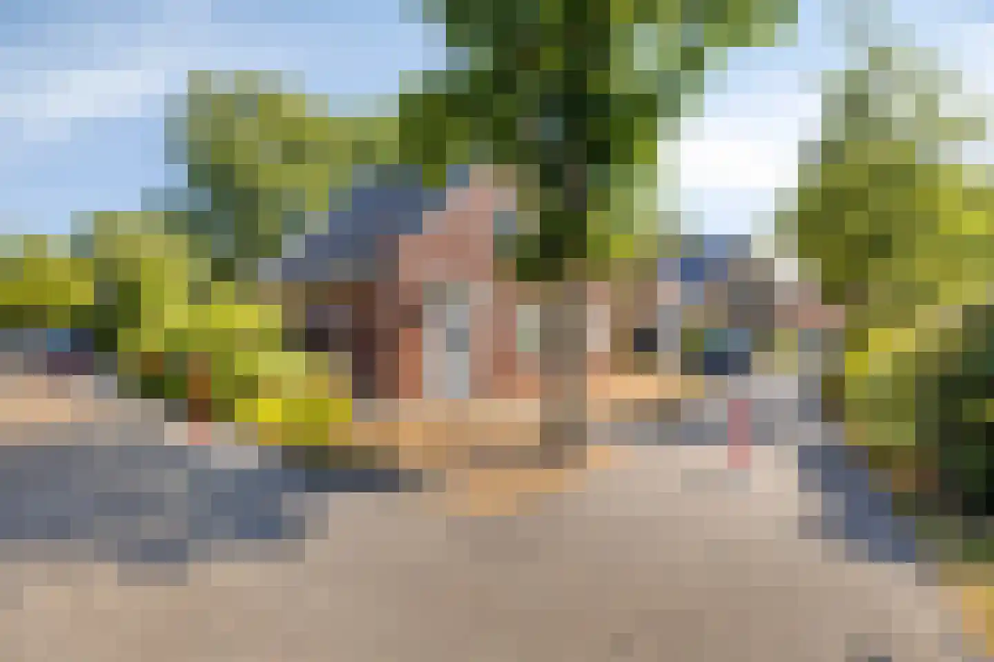 Daleboutsweg 4 0010 Burgh-Haamstede thumbnail 53