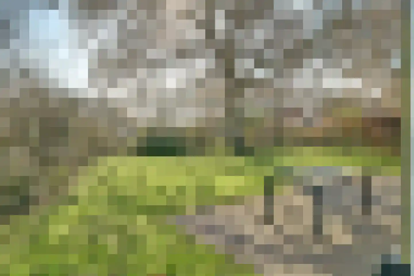 Daleboutsweg 4 0019 Burgh-Haamstede thumbnail 23