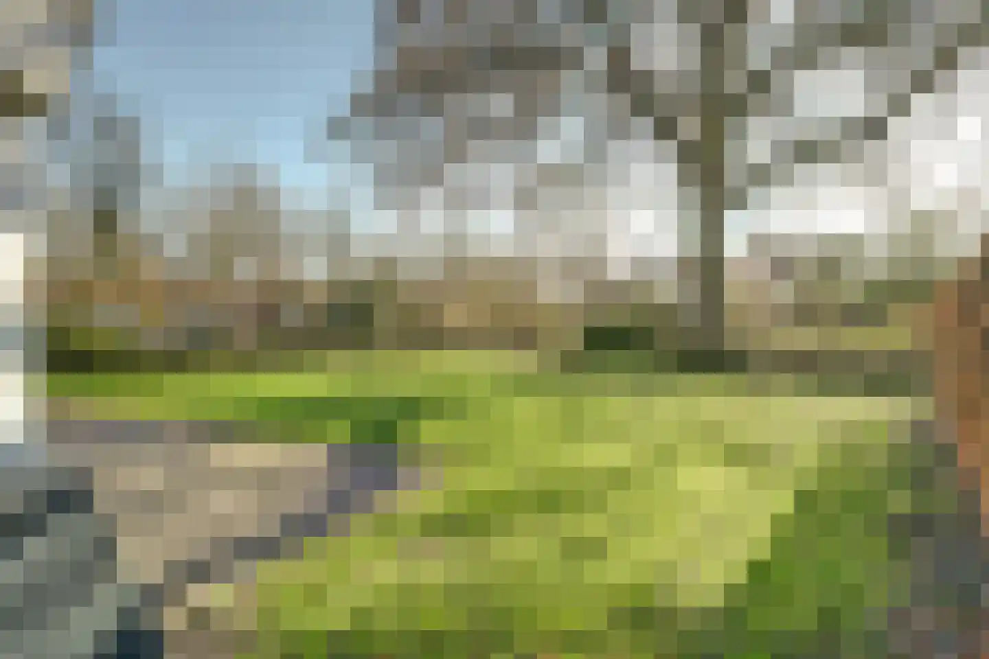 Daleboutsweg 4 0019 Burgh-Haamstede thumbnail 27