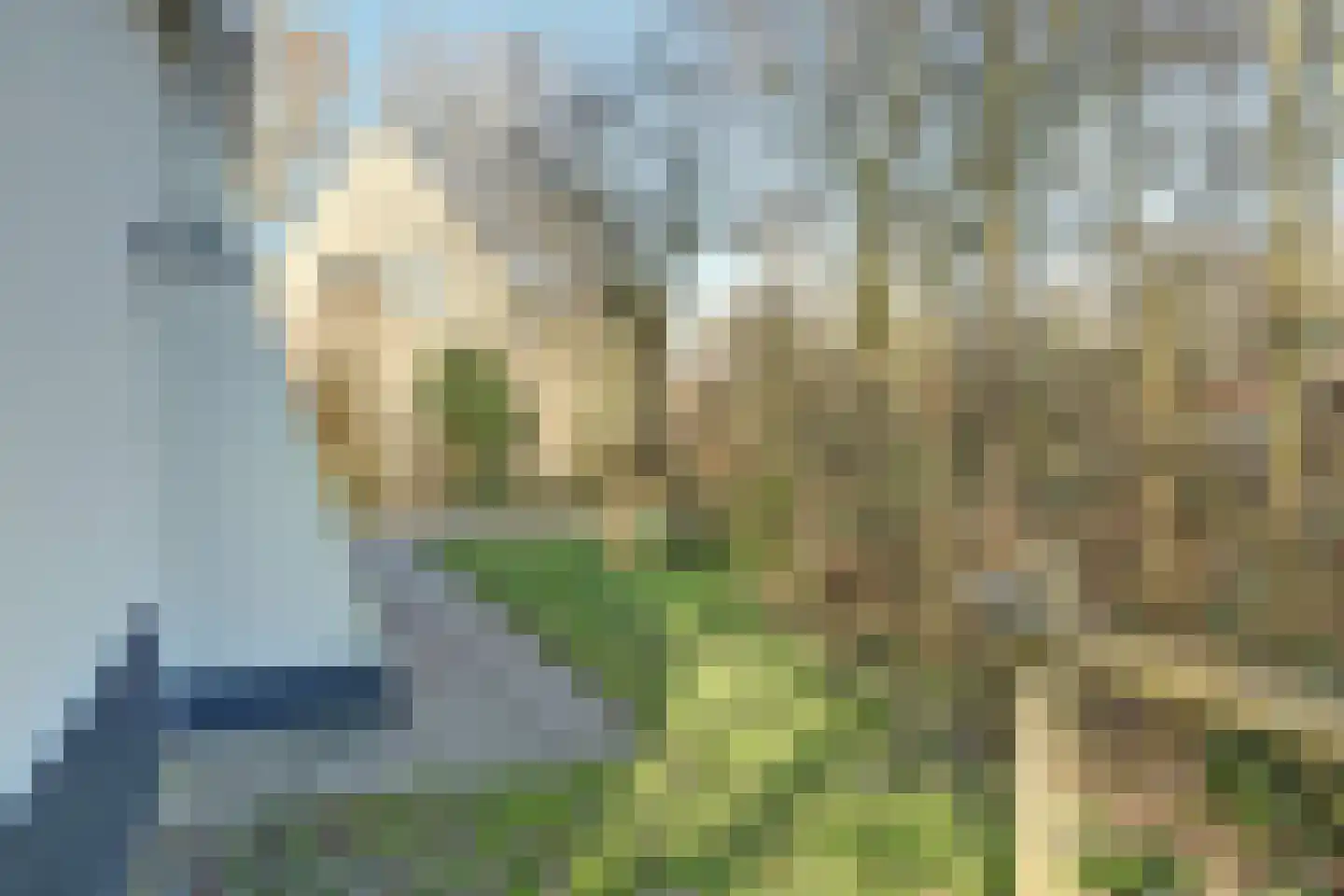 Daleboutsweg 4 0019 Burgh-Haamstede thumbnail 6