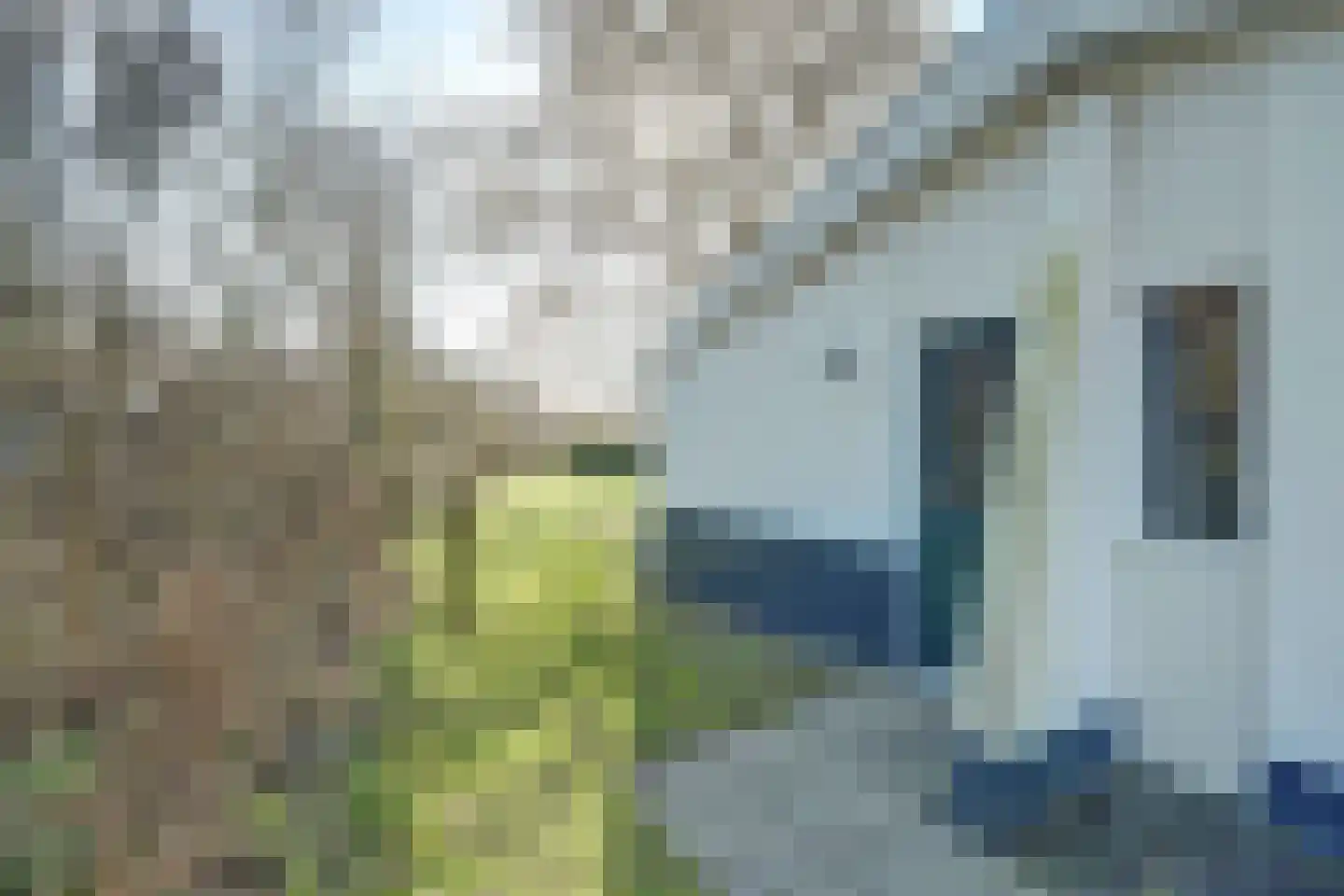 Daleboutsweg 4 0019 Burgh-Haamstede thumbnail 7