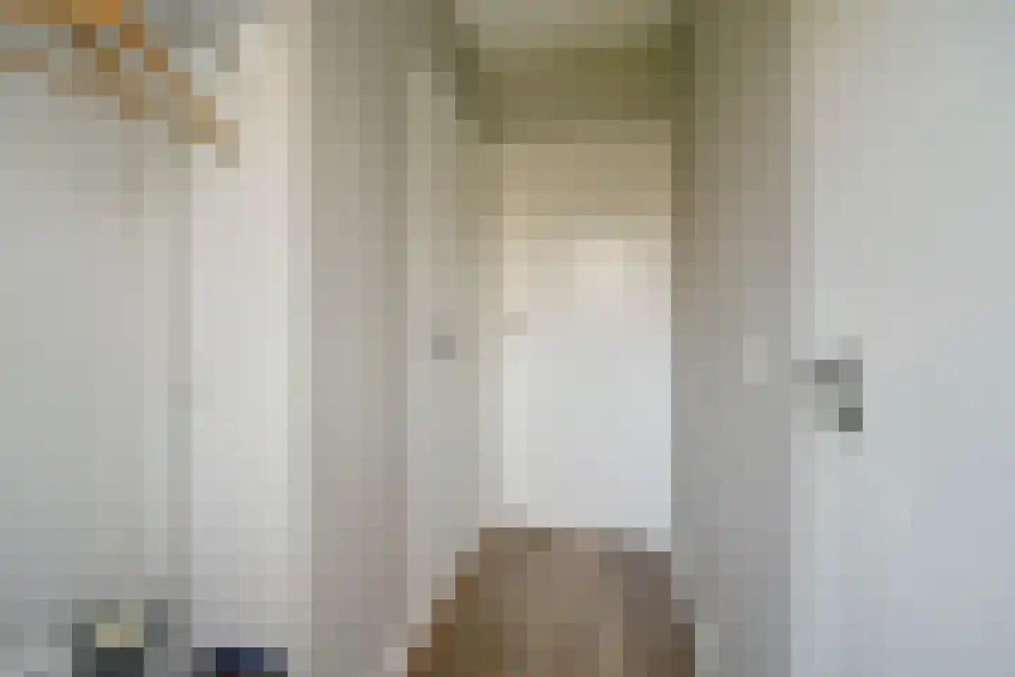 Daleboutsweg 4 0019 Burgh-Haamstede thumbnail 8