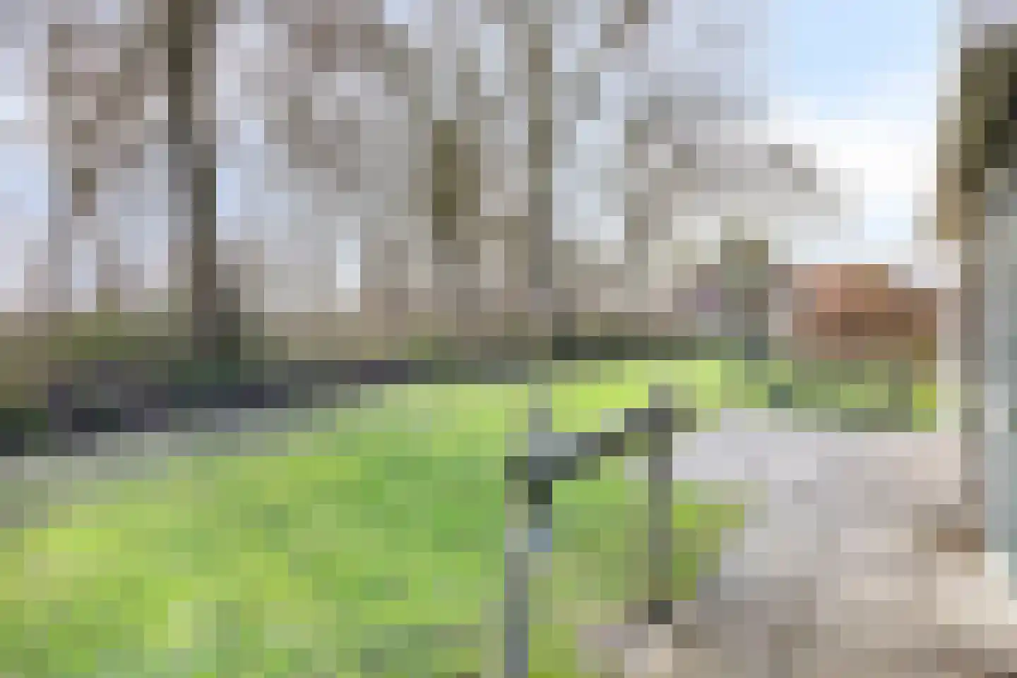 Daleboutsweg 4 0029 Burgh-Haamstede thumbnail 24