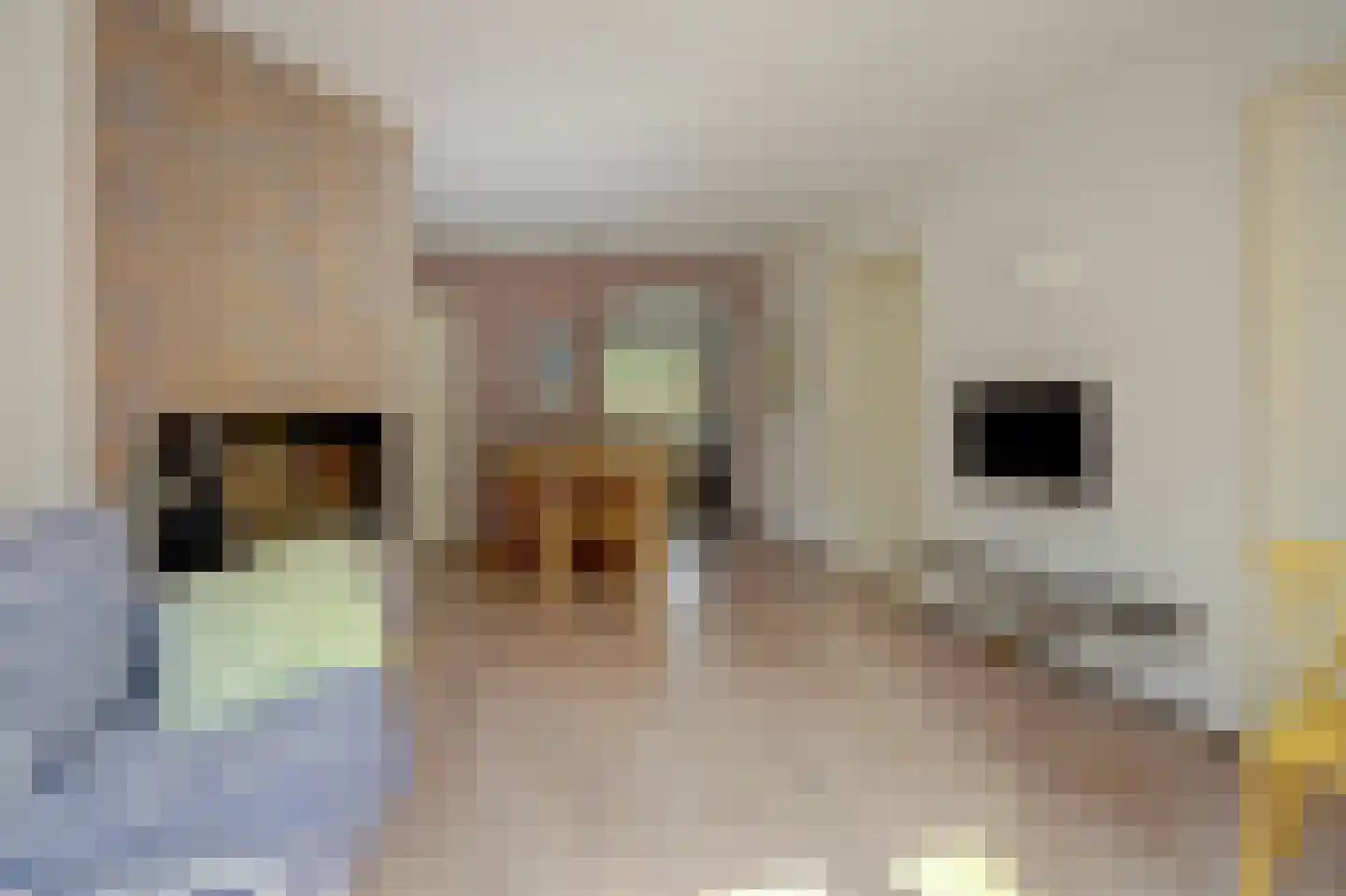Daleboutsweg 4 0046 Burgh-Haamstede thumbnail 7