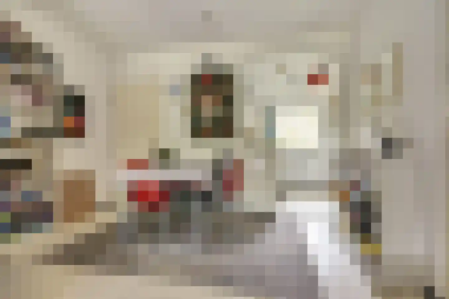 Daleboutsweg 4 0056 Burgh-Haamstede thumbnail 5