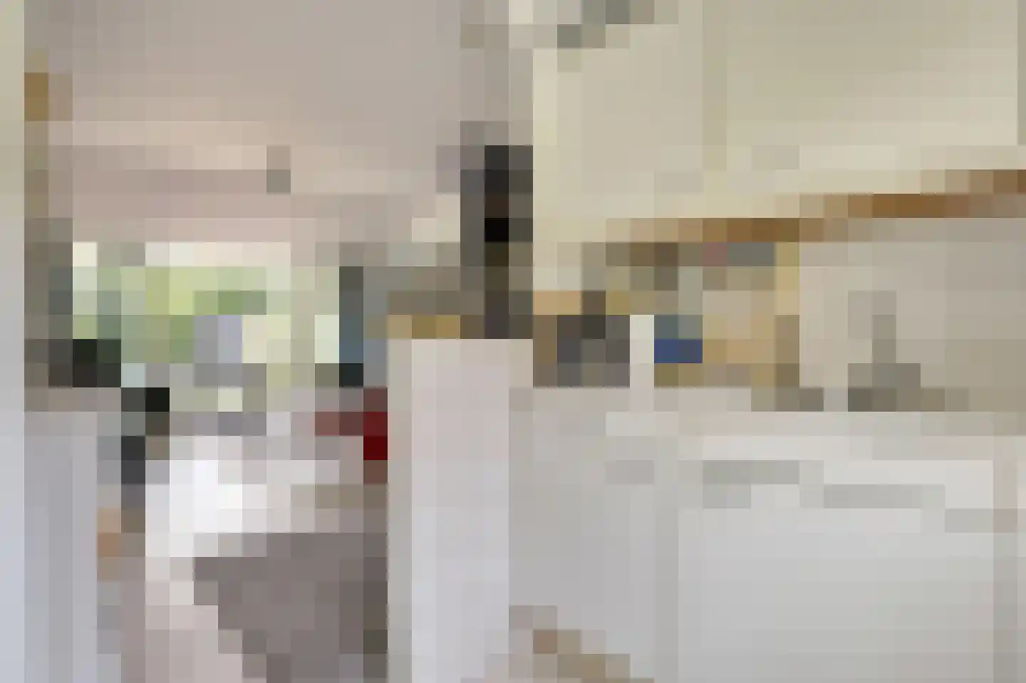 Daleboutsweg 4 0056 Burgh-Haamstede thumbnail 7