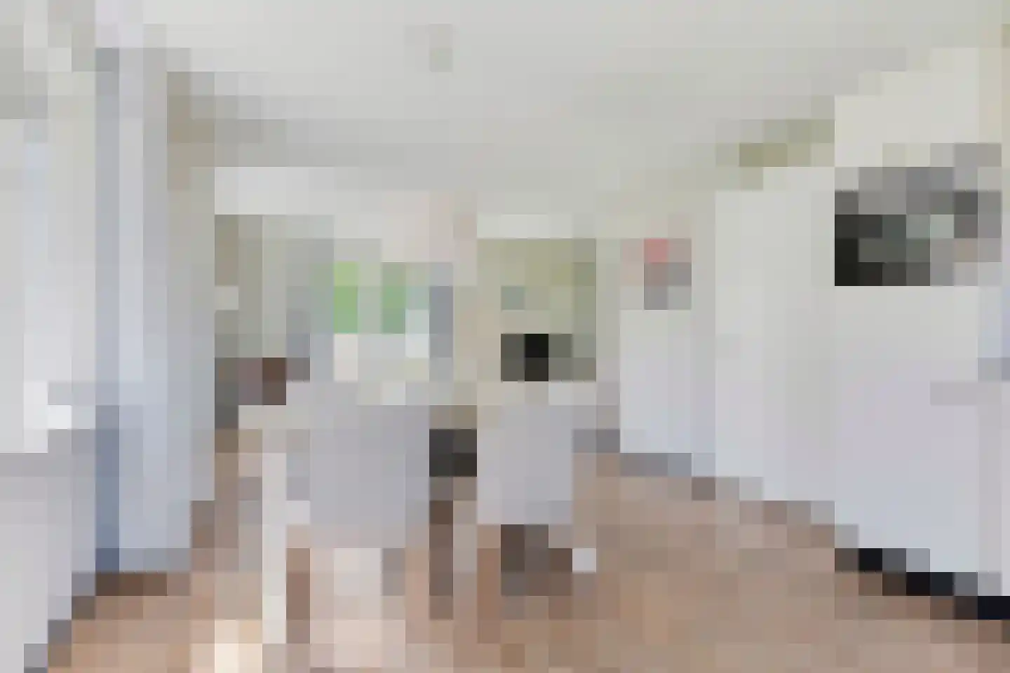 Daleboutsweg 4 0073 Burgh-Haamstede thumbnail 5