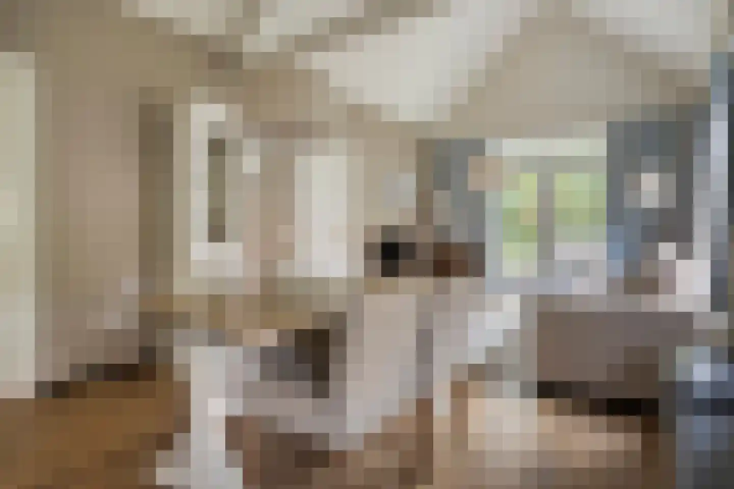 Daleboutsweg 4 0093 Burgh-Haamstede thumbnail 6