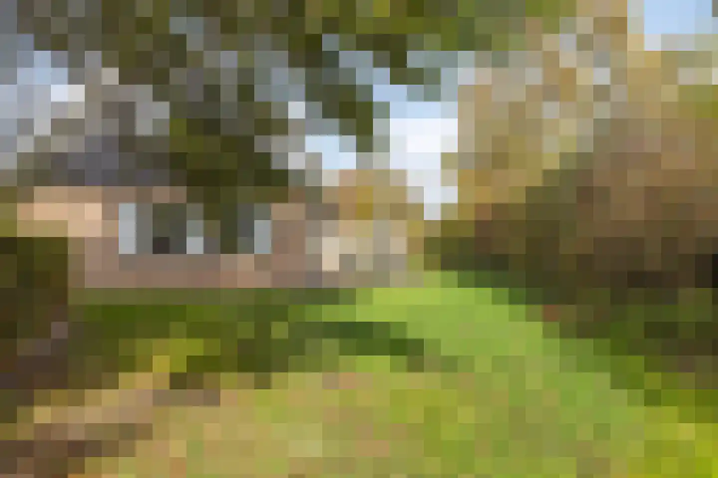 Daleboutsweg 4 0099 Burgh-Haamstede thumbnail 19