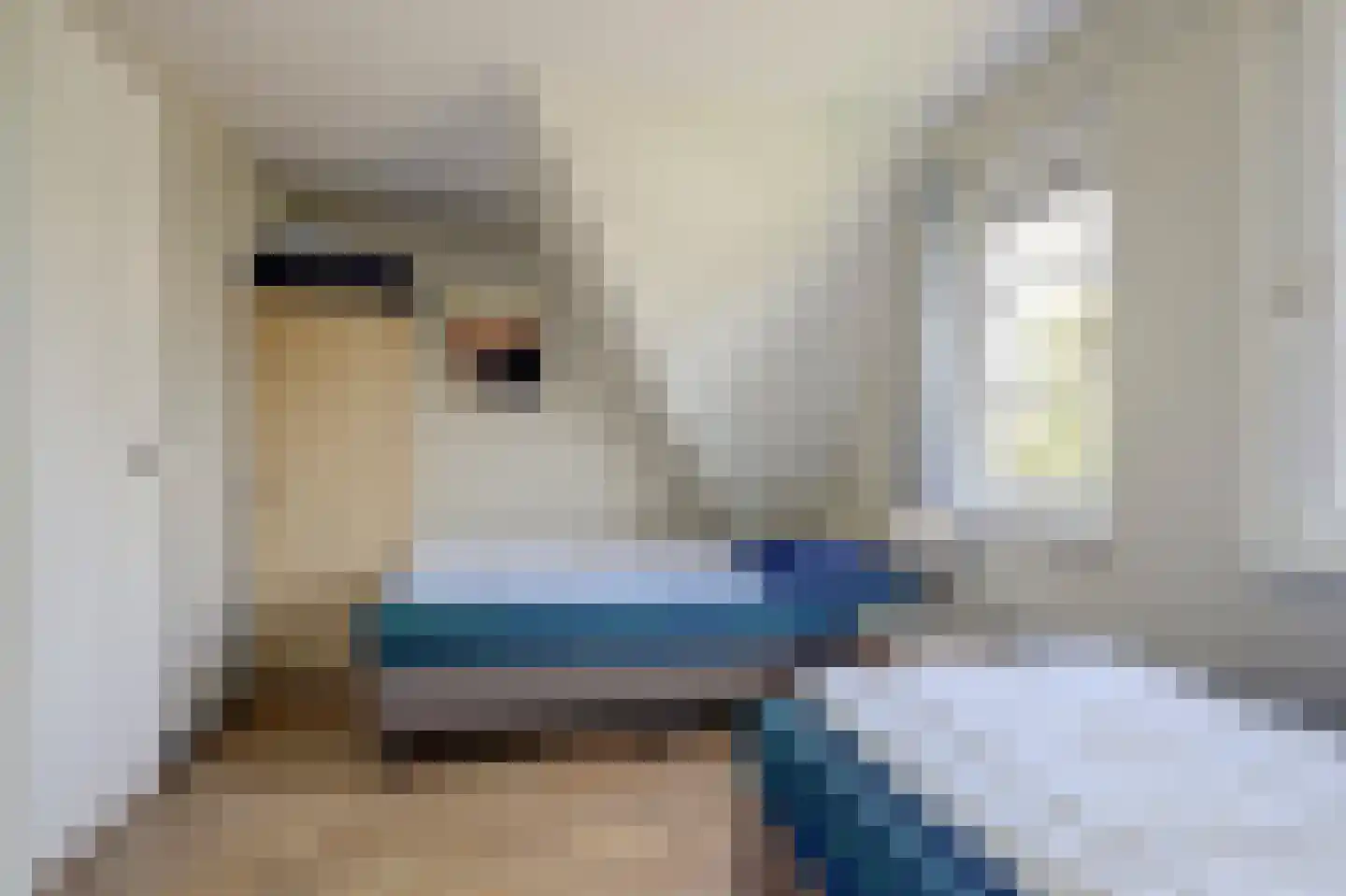 Daleboutsweg 4 0110 Burgh-Haamstede thumbnail 14