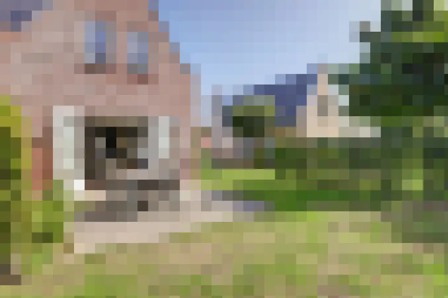 Daleboutsweg 4 0110 Burgh-Haamstede thumbnail 19