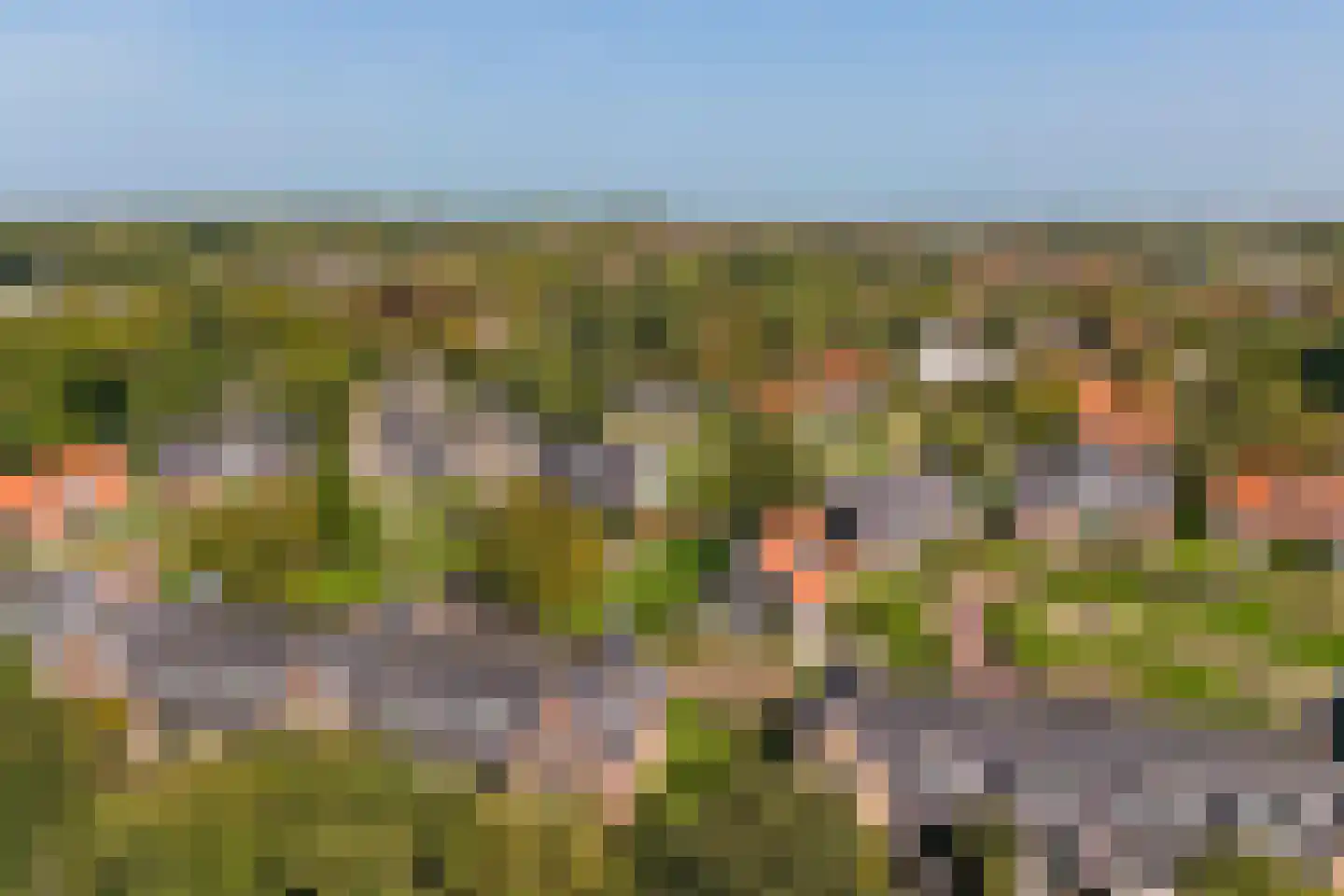Daleboutsweg 4 0110 Burgh-Haamstede thumbnail 21