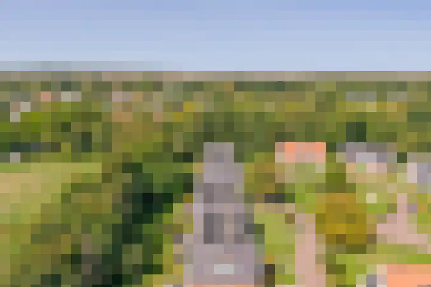 Daleboutsweg 4 0110 Burgh-Haamstede thumbnail 22