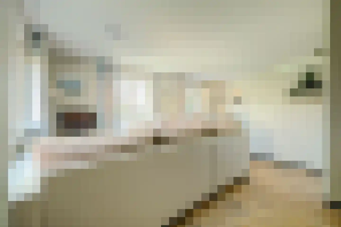 Daleboutsweg 4 0131 Burgh-Haamstede thumbnail 5