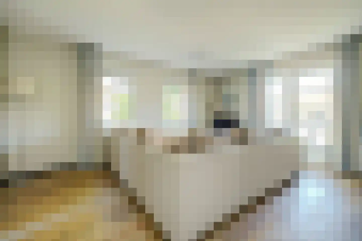 Daleboutsweg 4 0131 Burgh-Haamstede thumbnail 6