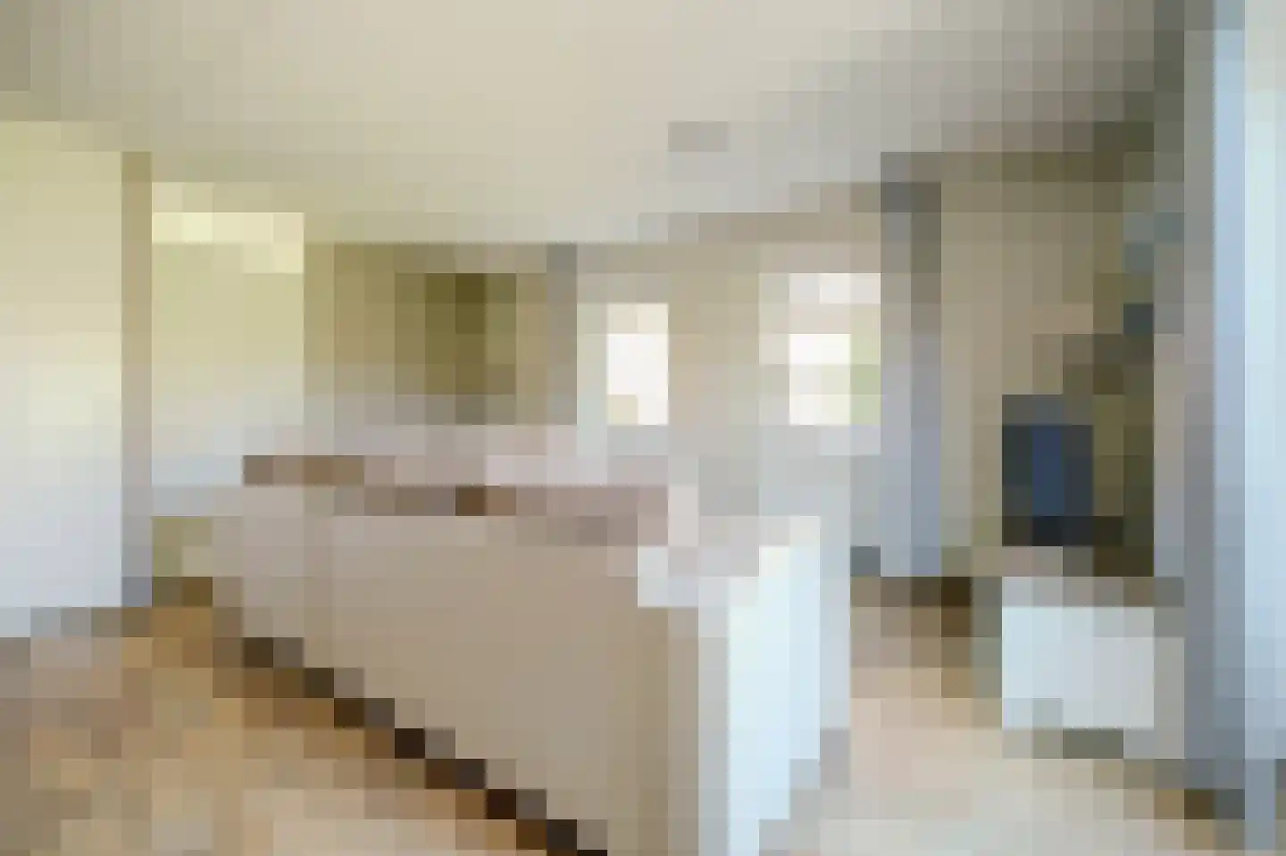 Daleboutsweg 4 0131 Burgh-Haamstede thumbnail 7