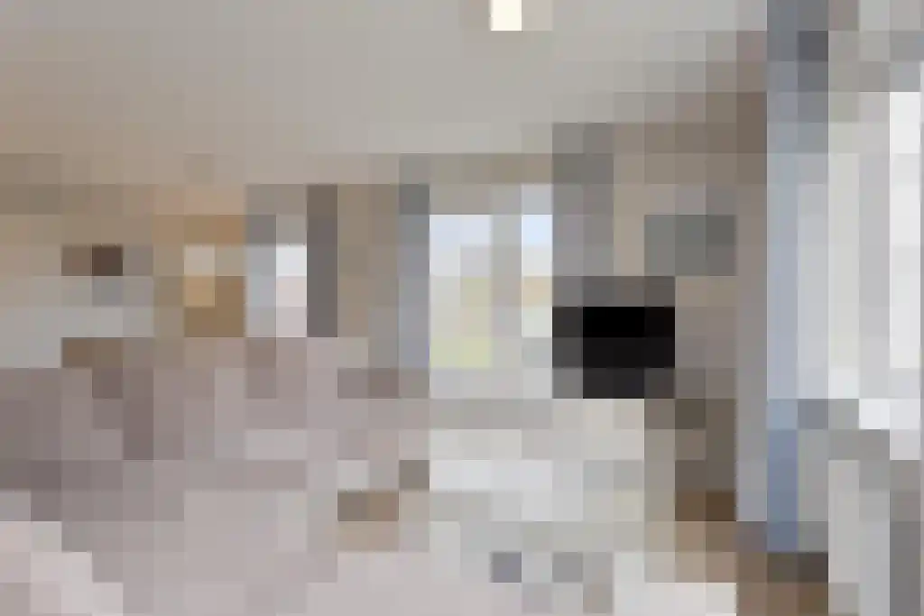 Daleboutsweg 4 0136 Burgh-Haamstede thumbnail 7