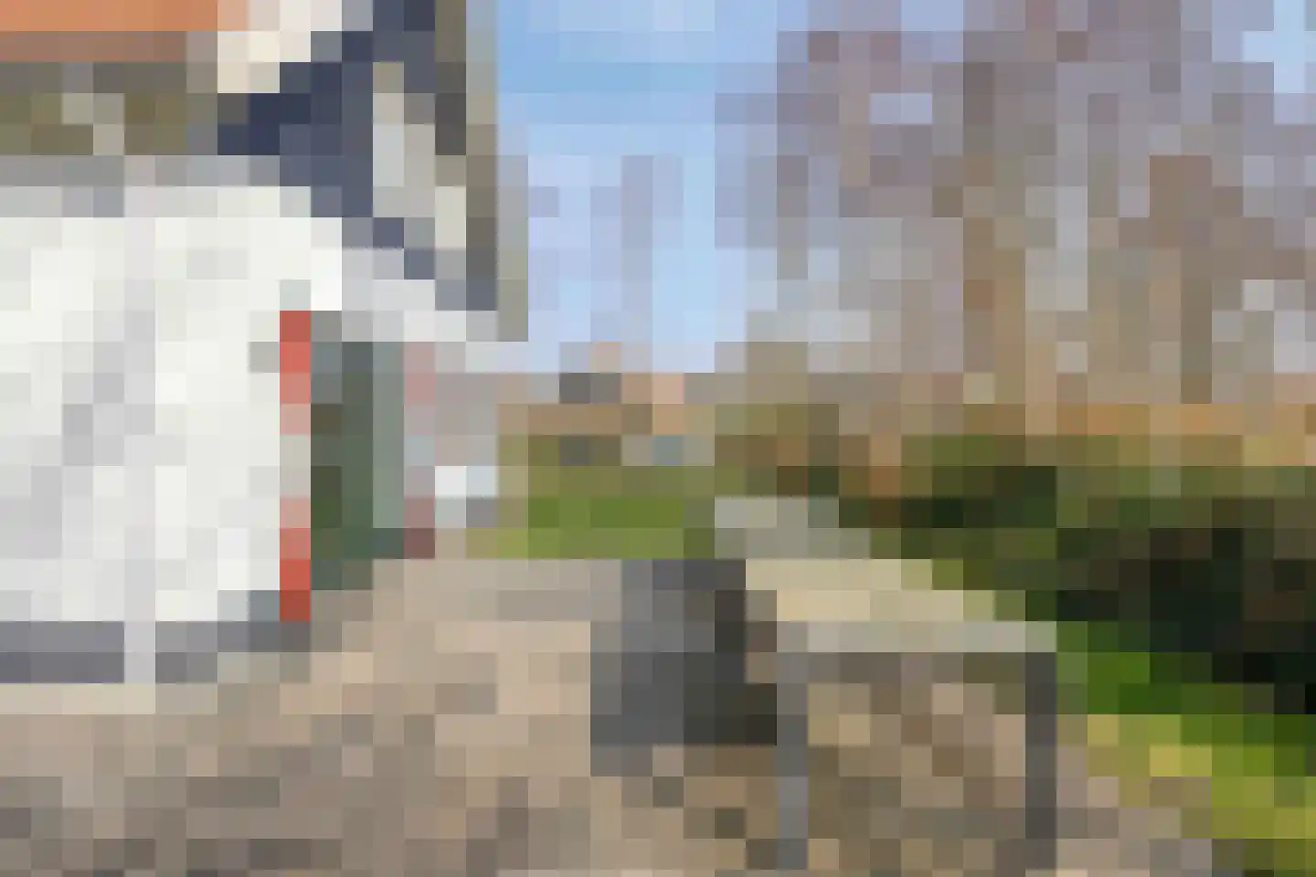 Daleboutsweg 4 0142 Burgh-Haamstede thumbnail 25