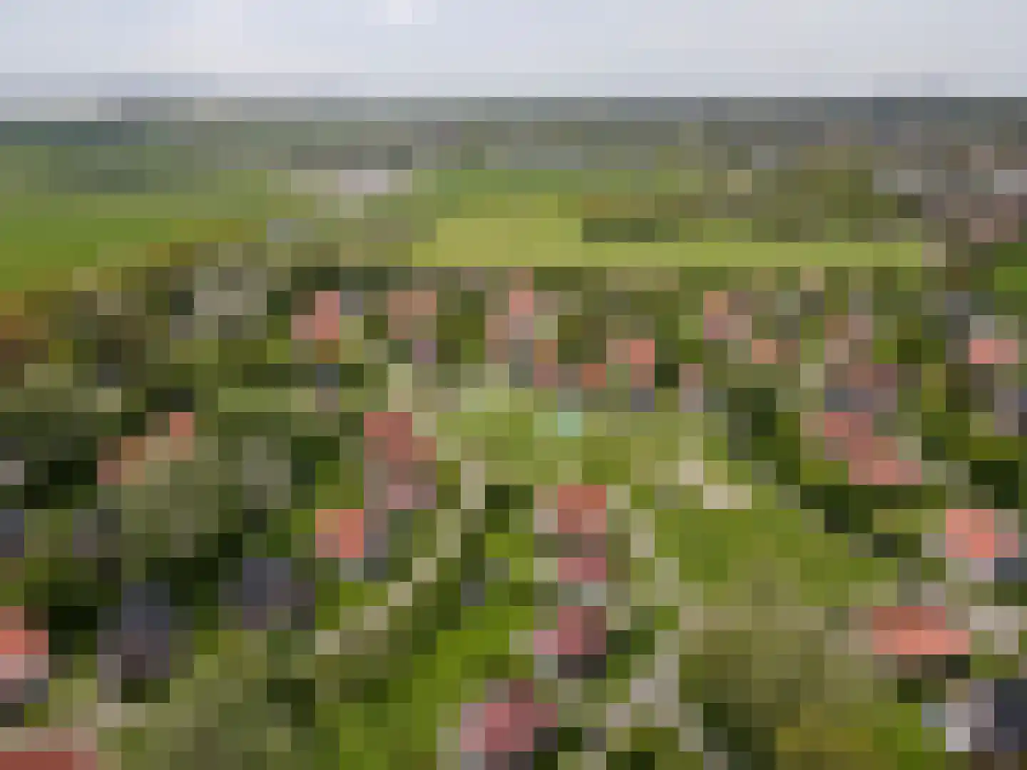 Daleboutsweg 4 0142 Burgh-Haamstede thumbnail 29